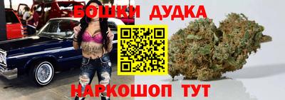 дурь Сланцы